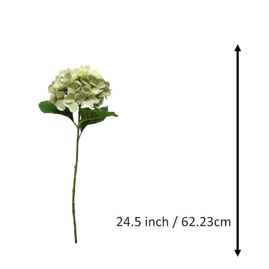 24.5" Green Hydrangea Real Touch Stem by Ashland®